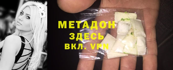 стаф Алексин