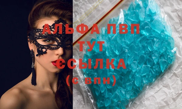 стаф Алексин