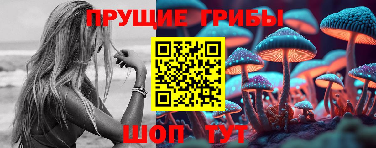 Псилоцибиновые грибы мицелий  купить наркотик  Вход с VPN  Менделеевск  Галлюциногенные грибы прущие грибы 